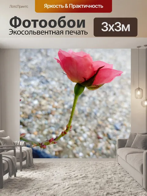 Фотообои Роза