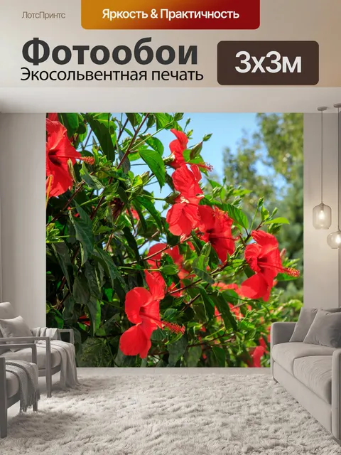 Фотообои Природа Крита