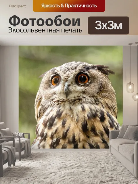 Фотообои Птица