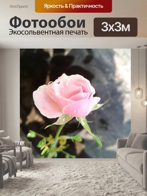 Фотообои Роза