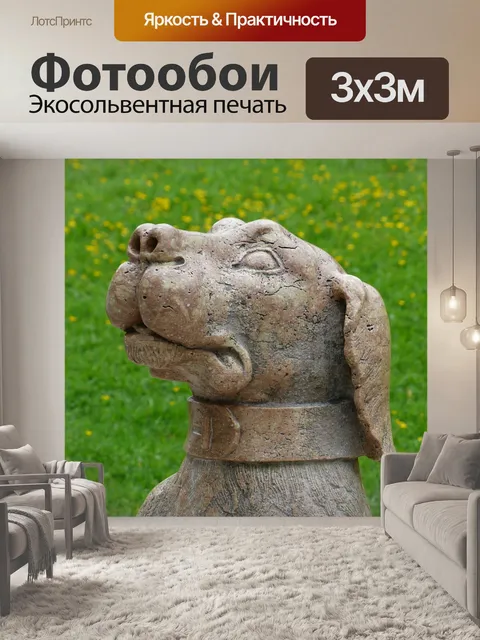 Фотообои Собака