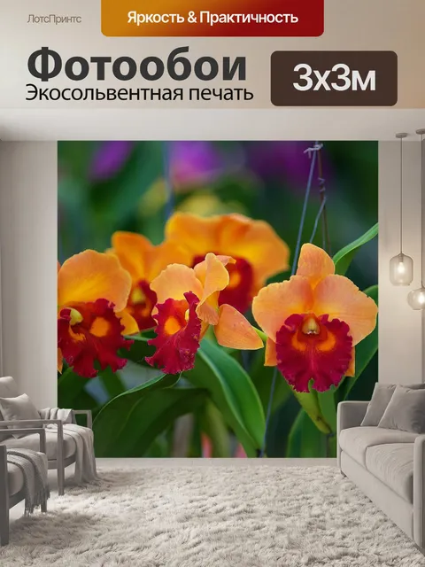 Фотообои Цветы