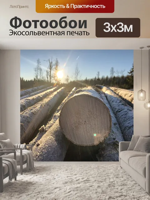 Фотообои Солнечный