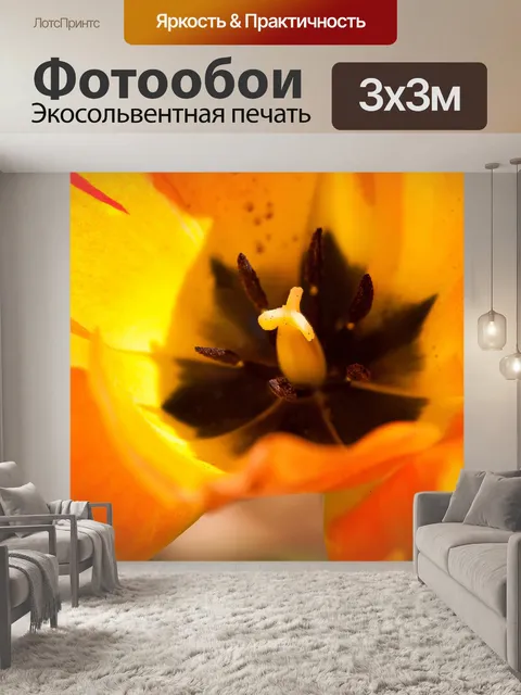 Фотообои Желтый тюльпан