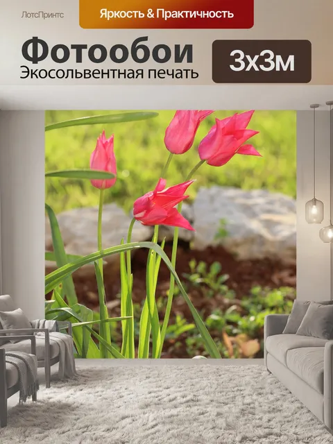 Фотообои Пурпурный