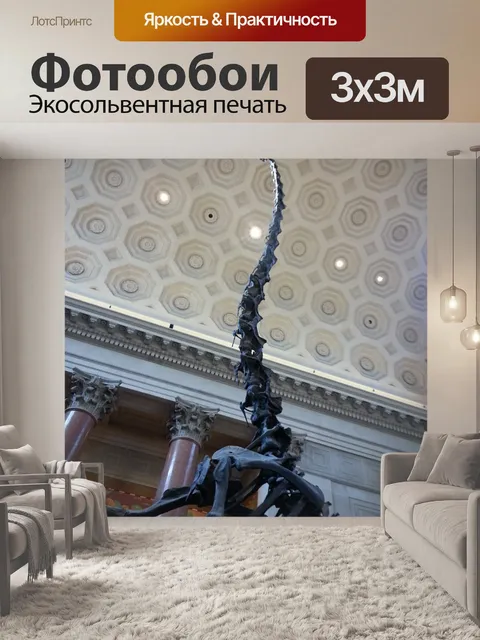 Фотообои Природаисторический музей