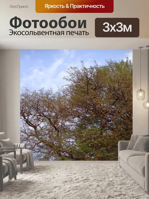 Фотообои Тамаринд дерево