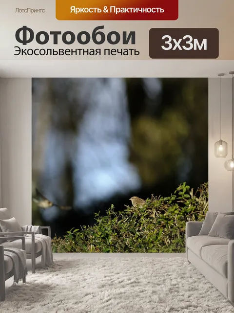 Фотообои Воробей