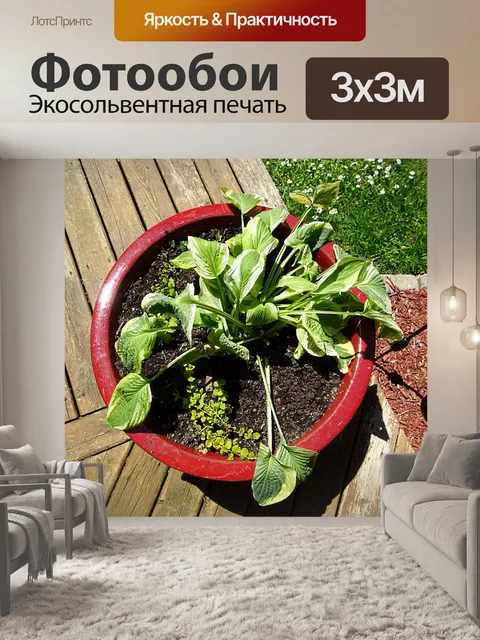 Фотообои Зеленый завод 1