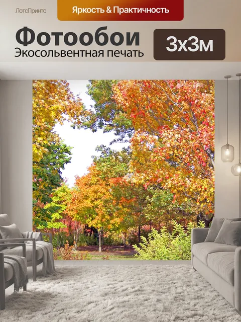 Фотообои Осенние деревья