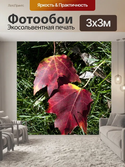 Фотообои Два клена Листья
