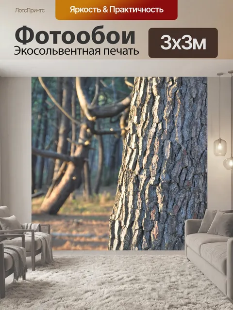 Фотообои Лес