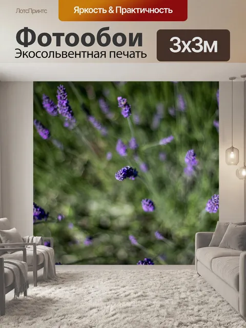 Фотообои Лаванда