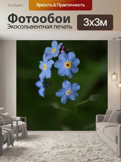 Фотообои Цветы