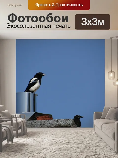 Фотообои Сорока