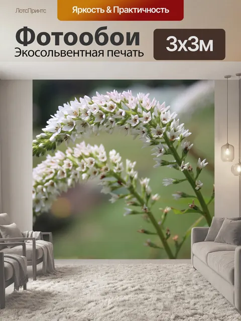 Фотообои Цветы