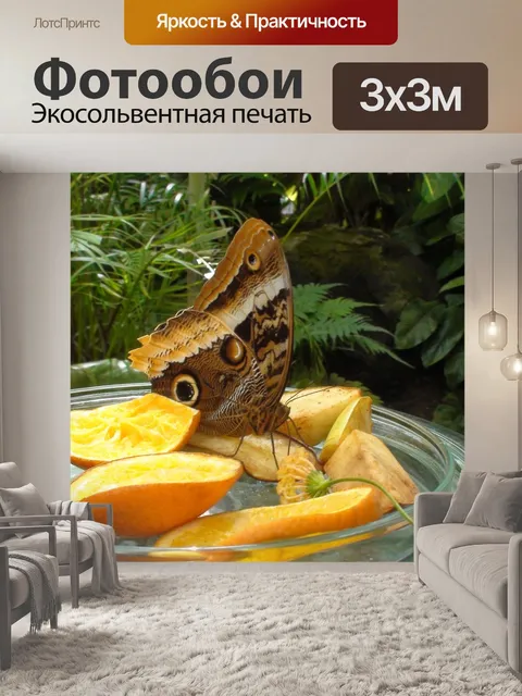Фотообои Бабочка