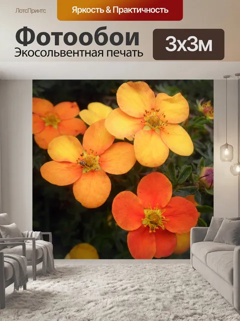 Фотообои Цветы