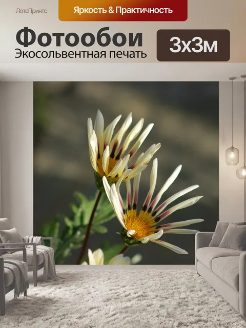 Фотообои Цветы