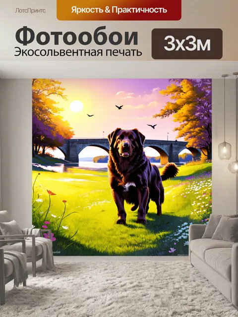 Фотообои ньюфаундленд наслаждается вечерней прогулкой по парку, где он исследует траву и цветы под мягким светом заката