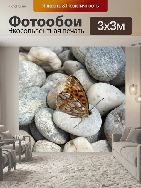 Фотообои Бабочка