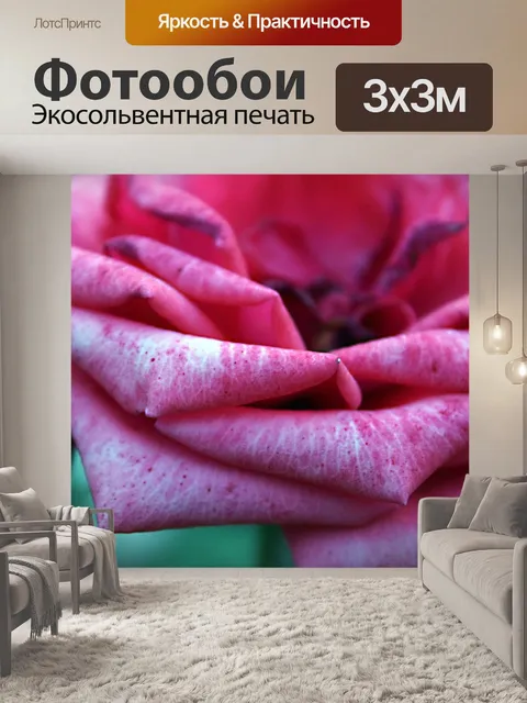 Фотообои Розы