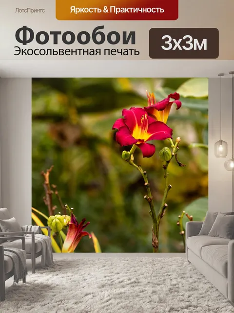 Фотообои Ирис