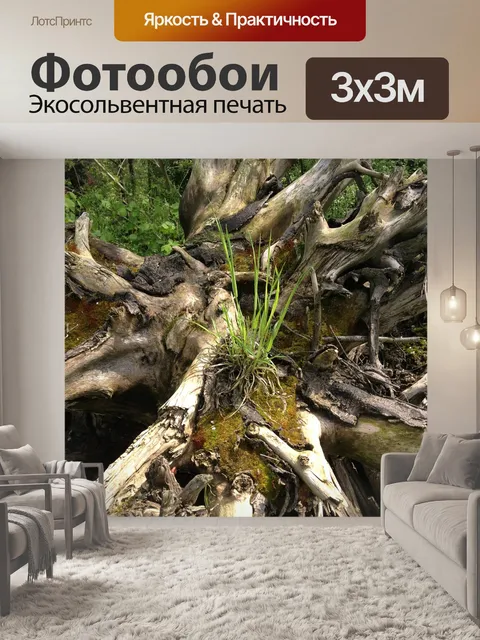 Фотообои Корень