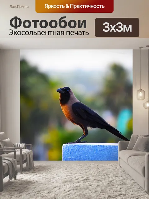 Фотообои Птица