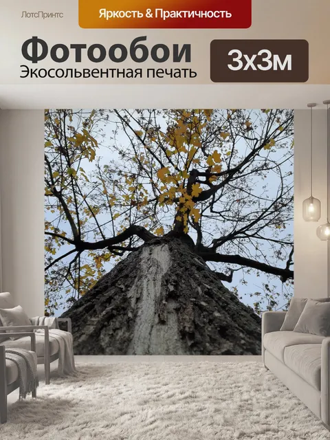 Фотообои 14. ноя 20 Листья и деревья 5