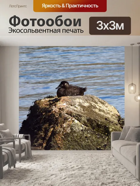 Фотообои Утка в океане