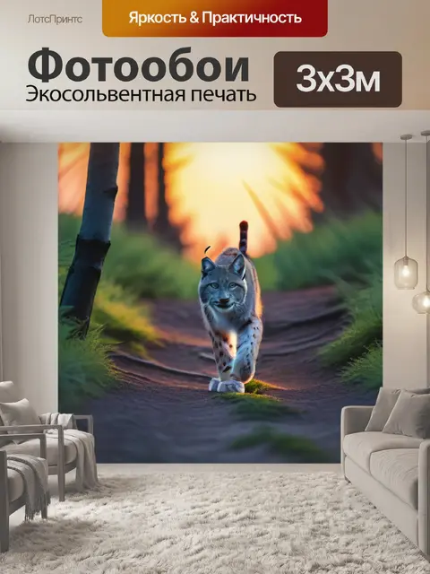 Фотообои лесная тропа с рысью на фоне заката