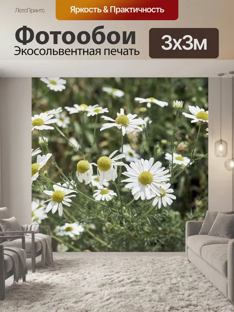 Фотообои Ромашки в полях
