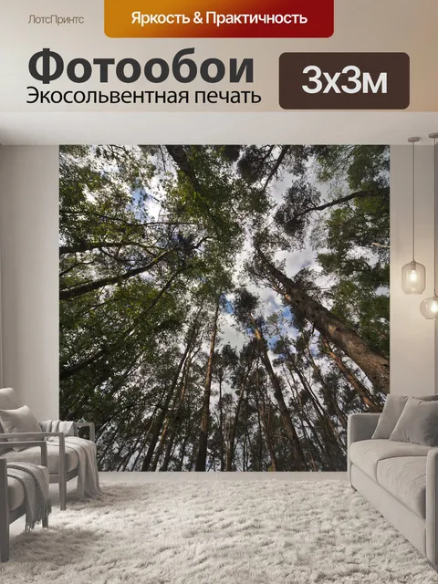 Фотообои Деревья