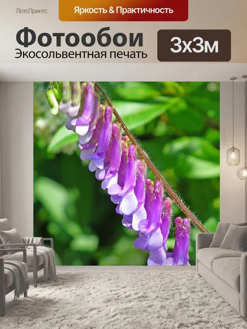 Фотообои Цветы
