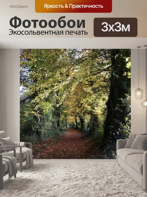 Фотообои Лес