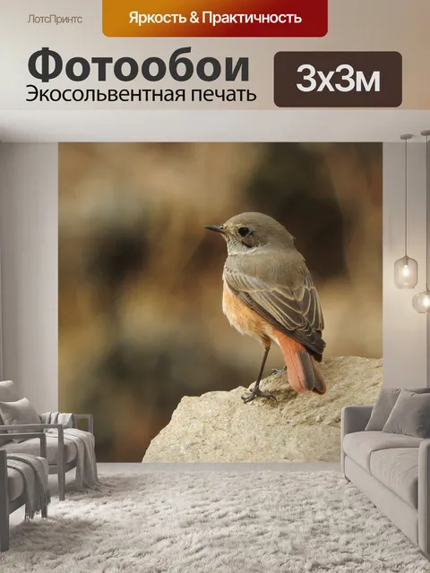 Фотообои Птицы