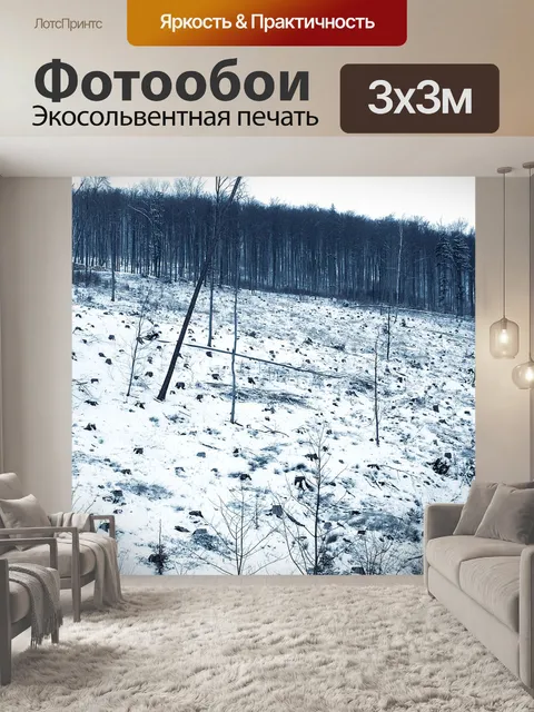 Фотообои Wykarczowany лес