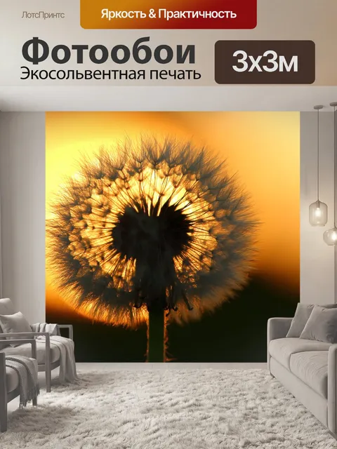 Фотообои Одуванчик