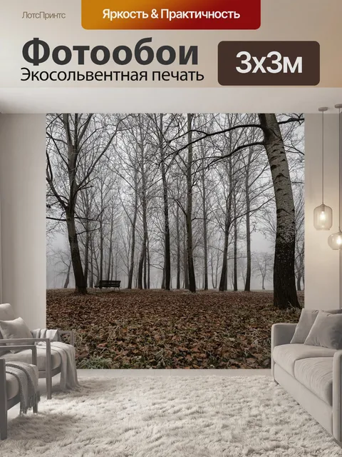 Фотообои Туман