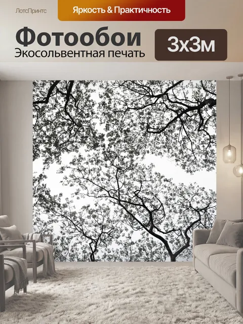 Фотообои Деревья