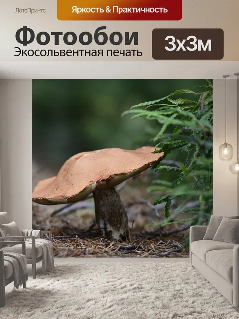 Фотообои Гриб