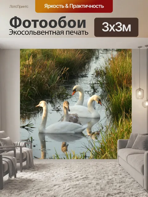 Фотообои Лебеди