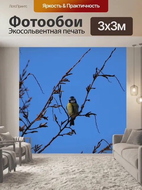 Фотообои Птица