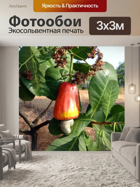 Фотообои Кешью