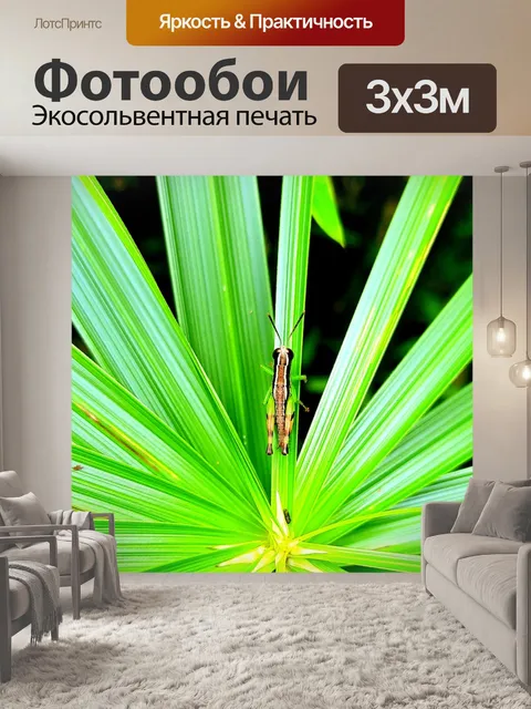 Фотообои Зеленый