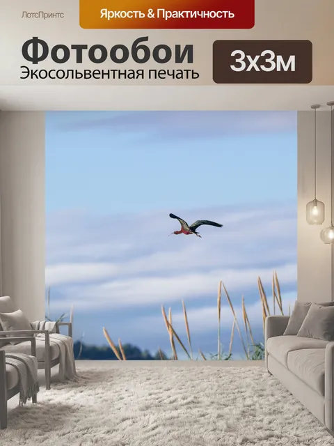 Фотообои Птицы