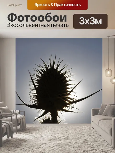 Фотообои Силуэт