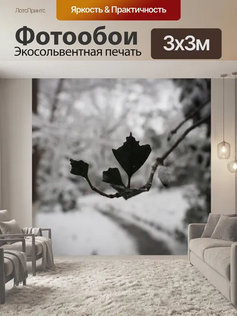 Фотообои Снег