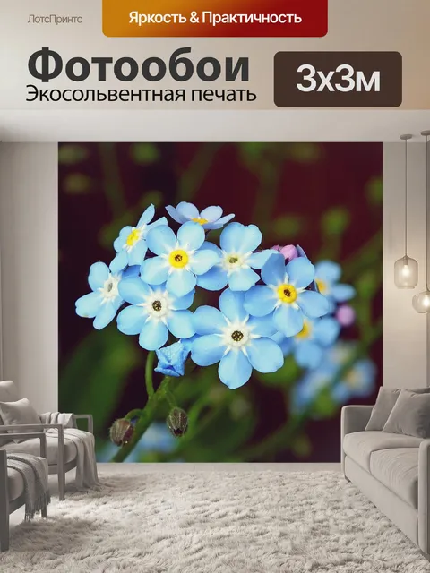 Фотообои Цветы